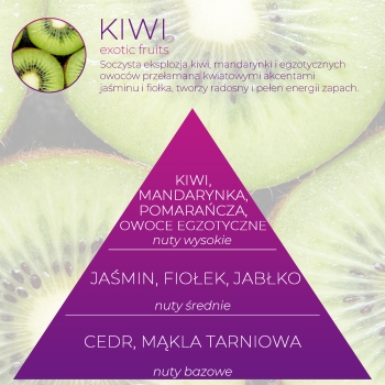 <B>KIWI</B> SPRAY 250 ml odświeżacz powietrza PREMIUM